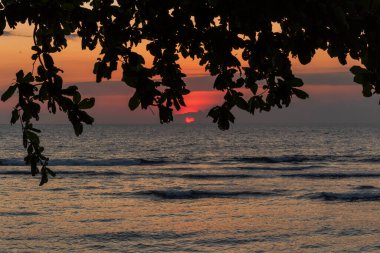 Siluetli sahil ağaçları tarafından çerçevelenmiş sakin okyanusun üzerinde tropik gün batımı
