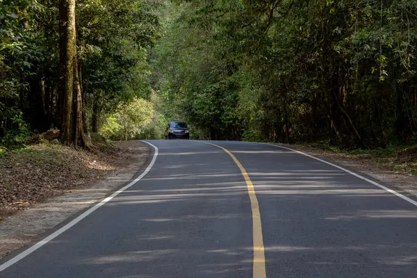 Yoğun yeşil ağaçlarla çevrili asfalt yolda manzaralı sürüş