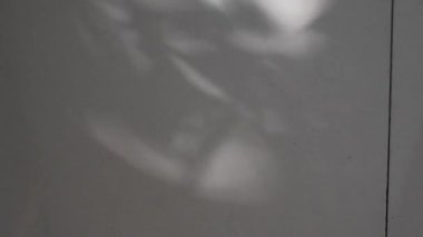 Siyah desenli soyut arkaplan