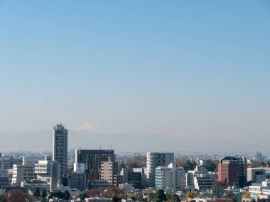Tokyo Skyline ile Mt. Fuji arka planda görünür.