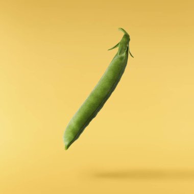 Taze taze taze taze taze bezelye kabukları sarı arka planda izole bir şekilde havaya düşüyor. Gıda havalanması veya sıfır yerçekimi kavramı