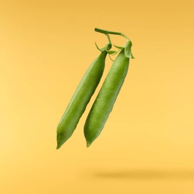 Taze taze taze taze taze bezelye kabukları sarı arka planda izole bir şekilde havaya düşüyor. Gıda havalanması veya sıfır yerçekimi kavramı