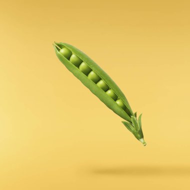 Taze taze taze taze taze bezelye kabukları sarı arka planda izole bir şekilde havaya düşüyor. Gıda havalanması veya sıfır yerçekimi kavramı