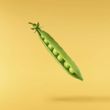 Taze taze taze taze taze bezelye kabukları sarı arka planda izole bir şekilde havaya düşüyor. Gıda havalanması veya sıfır yerçekimi kavramı