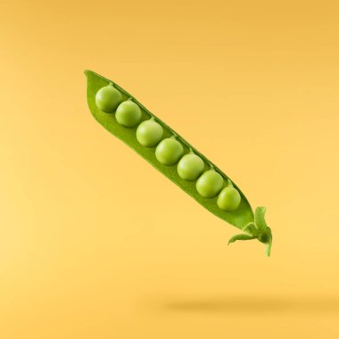 Taze taze taze taze taze bezelye kabukları sarı arka planda izole bir şekilde havaya düşüyor. Gıda havalanması veya sıfır yerçekimi kavramı