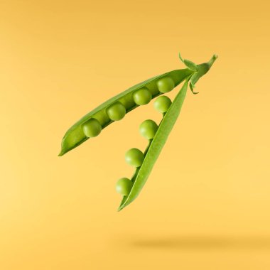 Taze taze taze taze taze bezelye kabukları sarı arka planda izole bir şekilde havaya düşüyor. Gıda havalanması veya sıfır yerçekimi kavramı