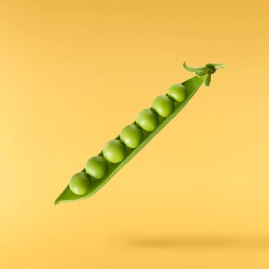 Taze taze taze taze taze bezelye kabukları sarı arka planda izole bir şekilde havaya düşüyor. Gıda havalanması veya sıfır yerçekimi kavramı