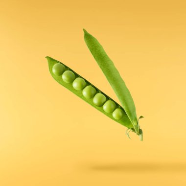 Taze taze taze taze taze bezelye kabukları sarı arka planda izole bir şekilde havaya düşüyor. Gıda havalanması veya sıfır yerçekimi kavramı