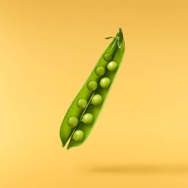 Taze taze taze taze taze bezelye kabukları sarı arka planda izole bir şekilde havaya düşüyor. Gıda havalanması veya sıfır yerçekimi kavramı