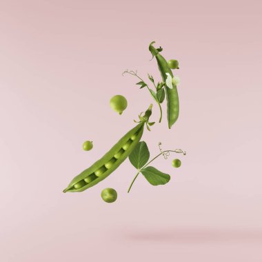 Pembe zemine izole edilmiş taze taze taze taze taze bezelye kabukları düşüyor. Gıda havalanması veya sıfır yerçekimi kavramı