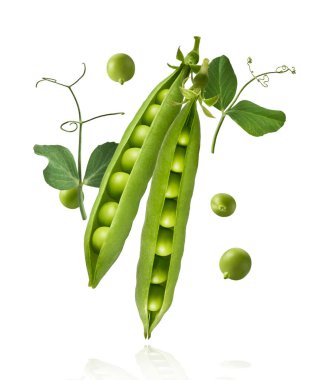 Taze taze taze taze taze bezelye kabukları beyaz arka planda izole bir şekilde havaya düşüyor. Gıda havalanması veya sıfır yerçekimi kavramı