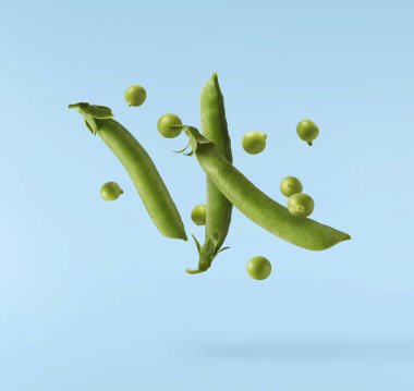 Havaya düşen taze yeşil biberiye bitkisi sarı arka planda izole edilir.