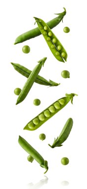 Taze taze taze taze taze bezelye kabukları beyaz arka planda izole bir şekilde havaya düşüyor. Gıda havalanması veya sıfır yerçekimi kavramı
