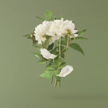 Gökyüzüne düşen güzel beyaz şakayık yeşil arka plana izole edilmiş. Yüksek çözünürlük Sıfır yerçekimi veya havada kalma kavramı.