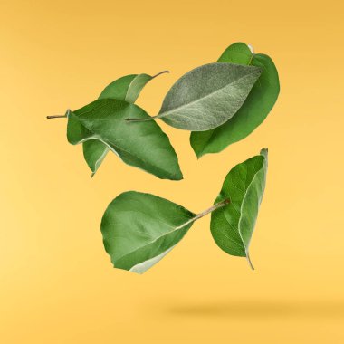 Havada uçuşan lezzetli çikolatalar. Yüksek çözünürlüklü yükselme