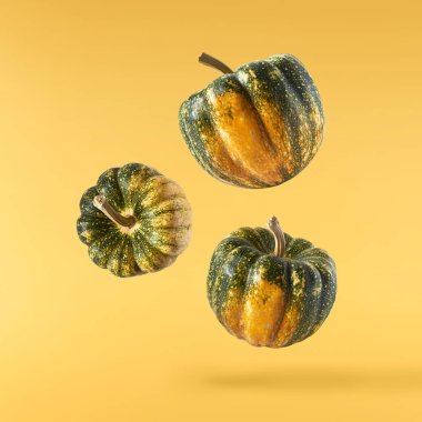 Havaya düşen taze çiğ balkabağı sarı arka planda izole edilmiş. Gıda havalanması sıfır yerçekimi kavramı. Yüksek çözünürlük.