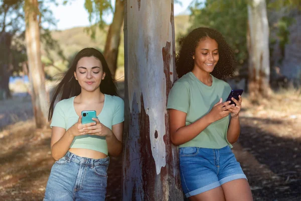 Щасливі Друзі Дивляться Смартфон Протягом Літнього Дня — стокове фото