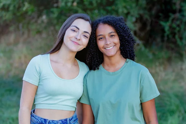 Duas Meninas Amigas Campo Desfrutando Belo Dia Imagem De Stock
