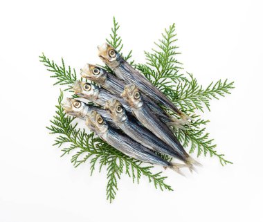 A umewashi (Japanese sardine) placed on a white background. Japanese food, dried fish.