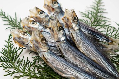 A umewashi (Japanese sardine) placed on a white background. Japanese food, dried fish.