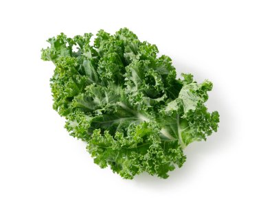 Kale beyaz arka plana yaslanmış. kıvırcık lahana.