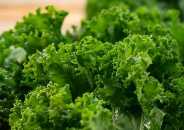 Kale ahşap bir arka plana yaslanmış. kıvırcık lahana