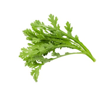 Beyaz bir arka plana yerleştirilmiş çelenk kasımpatısı. Çelenk kasımpatısı Asya 'da yetişen bir sebzedir..