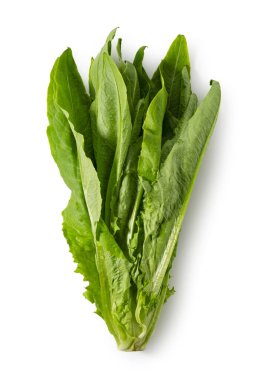 Yubakusai beyaz arka plana yerleştirildi. Yubakusai bir yaprak maruludur. Yubakusai bir Tayvan ve Çin sebzesidir..