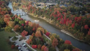 Londra 'nın sonbahar manzarasından geçen arabalar. Yüksek kalite 4k görüntü