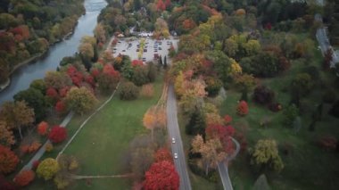 Londra 'nın sonbahar manzarasından geçen arabalar. Yüksek kalite 4k görüntü