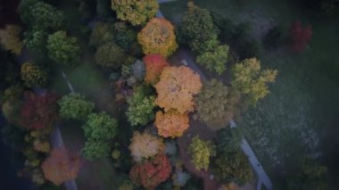 Londra 'nın sonbahar manzarasından geçen arabalar. Yüksek kalite 4k görüntü