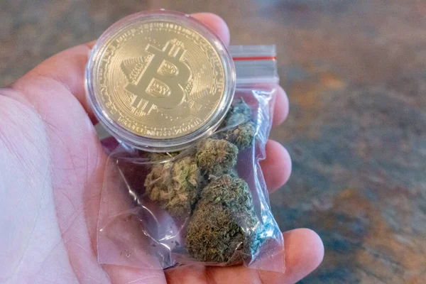 Kryptowährung Bitcoin Mit Einem Blauen Zeichen Auf Cannabis Hochwertiges Foto — Stockfoto