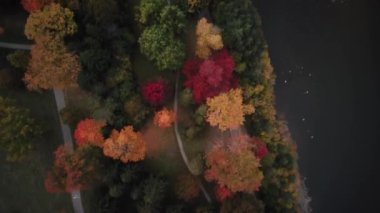London Ontario Canada during the fall season, drone footage . High quality 4k footage