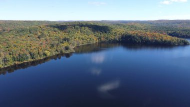 Yazın göl ve ormanın havadan görünüşü