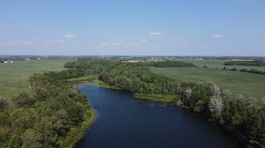 Ormandaki nehir manzarası