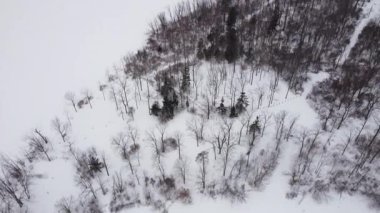 Karda ağaçlar olan kış manzarası