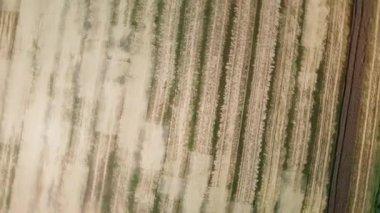 Tarım serilerinde tarımsal alan ve tarım alanları