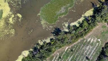 Orman Gölü nün havadan görünümü.