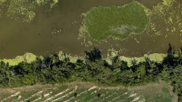 Parktaki nehrin havadan görünüşü