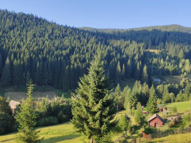 Yoğun yeşil ormanlarla çevrili yemyeşil bir vadi. Açık mavi gökyüzü altında büyüleyici kır kulübeleri ve huzurlu manzaralar var. Doğaya çekilmek ve sakin bir kırsal yaşam alanı için ideal..