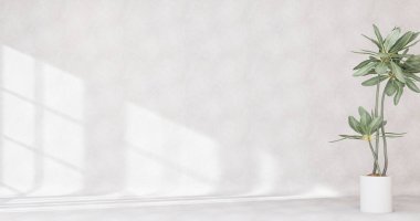 Ürün sunumu için soyut beyaz stüdyo arka planı pencere gölgeleri, çiçekler ve palmiye yaprakları olan boş oda ve fotokopi yaz konseri arkaplanı bulanık. 3B Hazırlama, 
