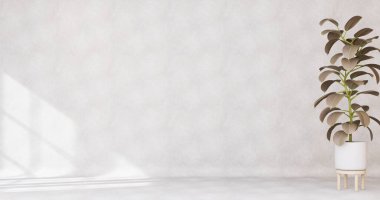 Ürün sunumu için soyut beyaz stüdyo arka planı. Ev bitkileri, pencere gölgeleri, çiçekler ve palmiye yaprakları olan boş oda. Fotokopi uzay yaz konseri arkaplanı bulanık. 3B Hazırlama, 