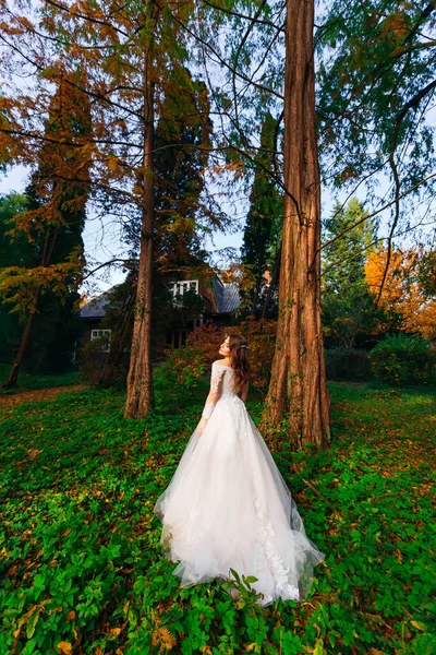 Bela Noiva Vestido Chique Parque Outono — Fotografia de Stock