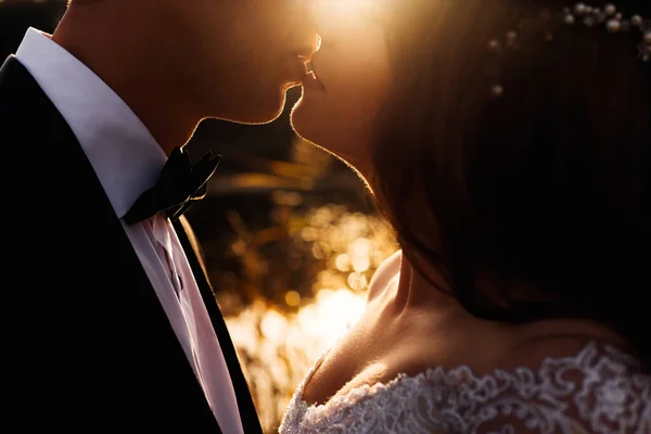 Close Kisses Newlyweds Lower Half Face Sunshine — Stock Photo, Image