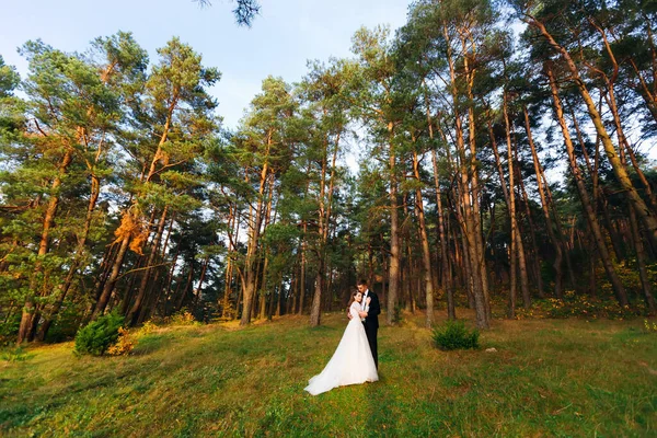Nygifta Som Omfamnar Varandra Skogen — Stockfoto
