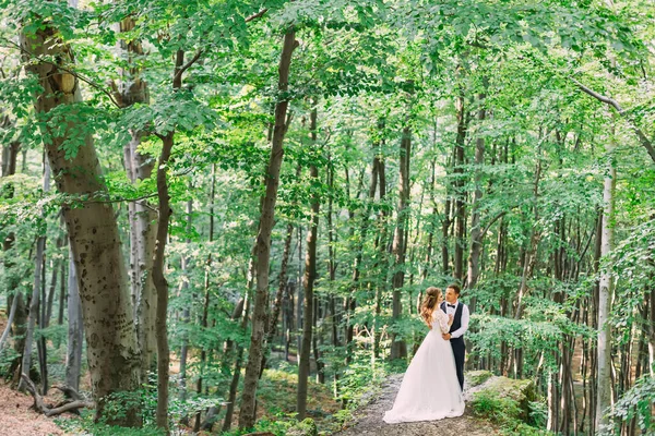 Étreinte Sensuelle Des Jeunes Mariés Parmi Les Grands Arbres Forêt — Photo