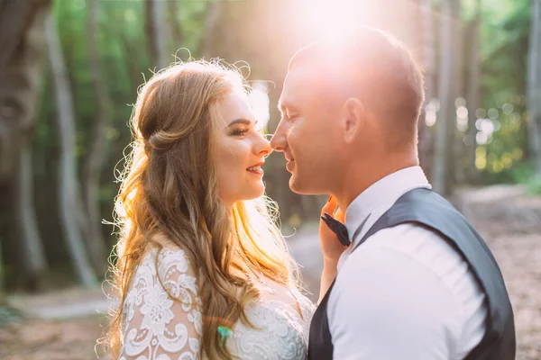 bride and groom kissing in the forest and sun rays between them. profile of newlyweds in the forest.