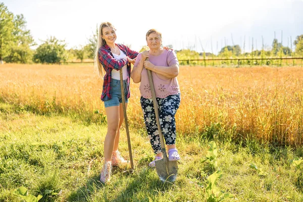 Woman Farmer Her Grandmother Holding Shovels Working Field Harvesting Crops — Photo