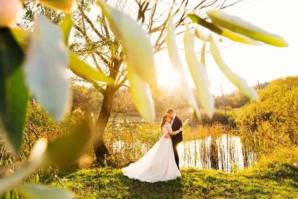 Bride Wedding Dress Groom Suit Hug Shore Lake Evening Lake — Stock Photo, Image