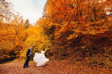 Beyaz, uzun elbiseli mutlu bir gelin damadın önünde dans eder, adam aşık olan kadına bakar. Sonbahar parkında bir yürüyüş.